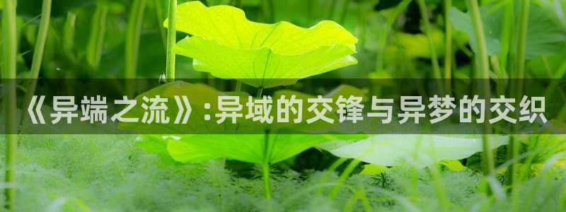 香蕉漫画私密教学：《异端之流》:异域的交锋与异梦的交织